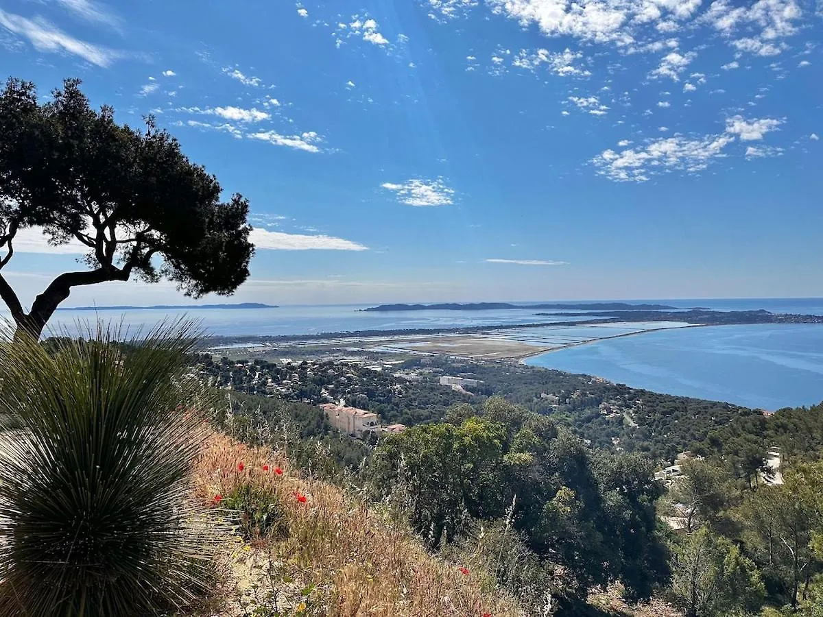 Villa Les Freesias - Grande Piscine - Vue Sur Mer Carqueiranne
